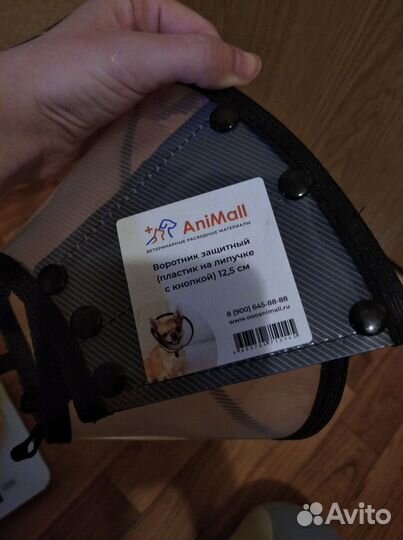 Аксессуары для кота