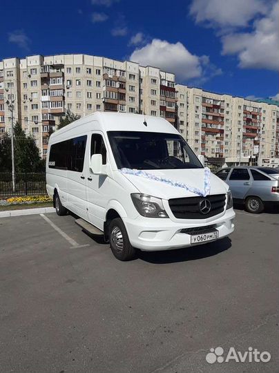 Пассажирские перевозки