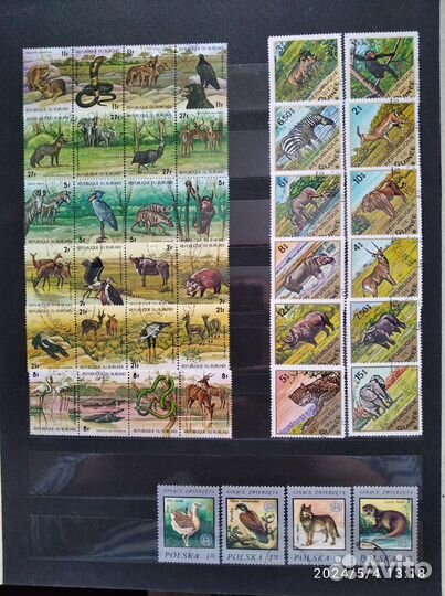 Марки собаки, кошки, животные и др