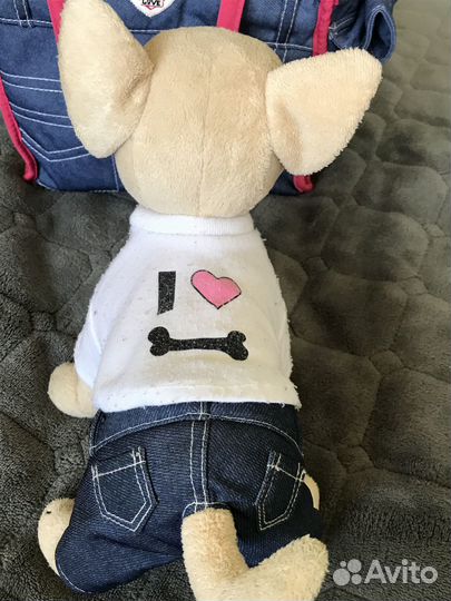 Собачка Чичилав в сумке