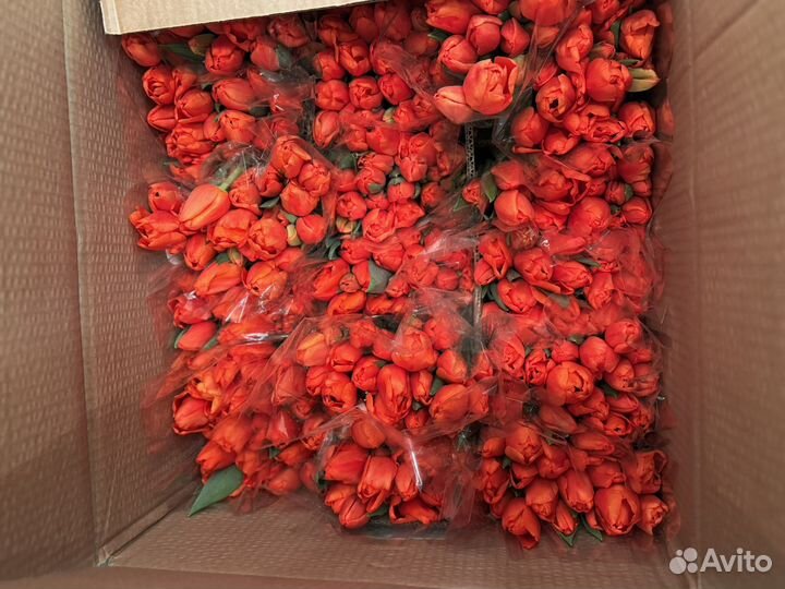 Тюльпаны к 8 марта букет