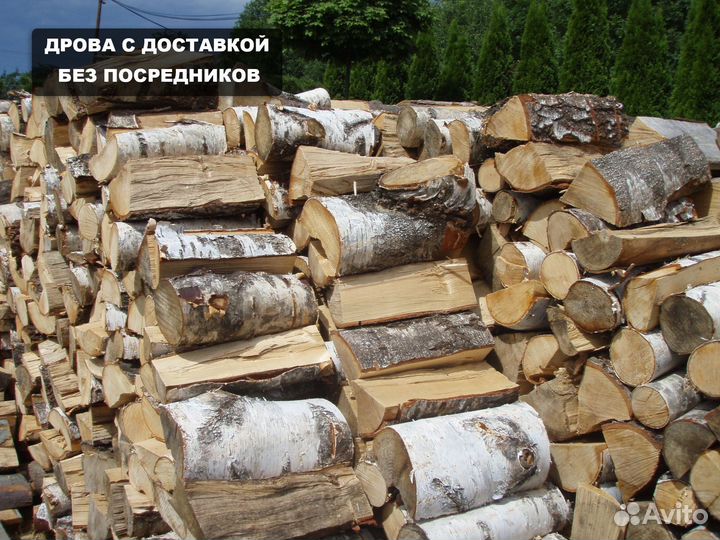 Дрова осиновые