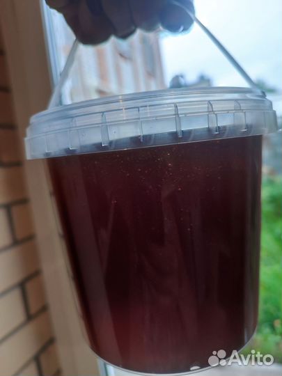 Майский мед 2024