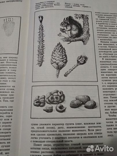 Большая детская энциклопедия СССР 1973 г