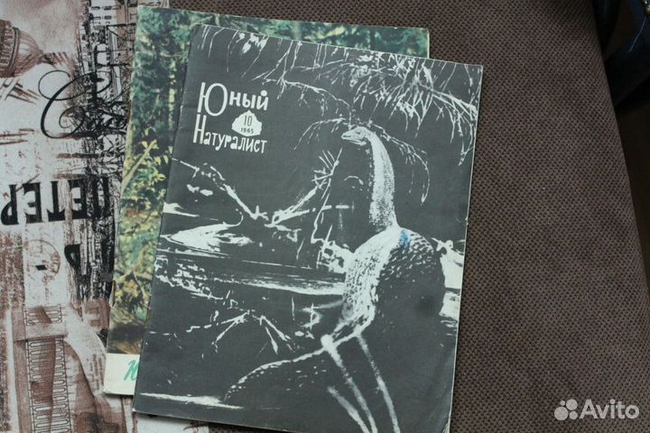 Юный натуралист, атласы, книги по искусству