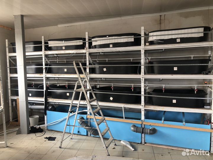 Ферма по разведению рака,аккр