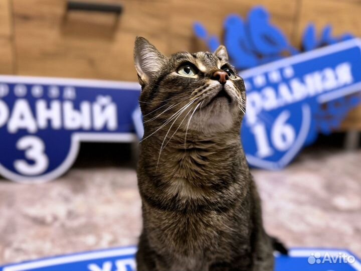 Табличка на дом