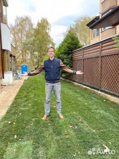 Рулонный газон 100 Мятлик