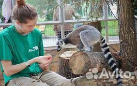 Сотрудник по уходу за животными(и морские котики)