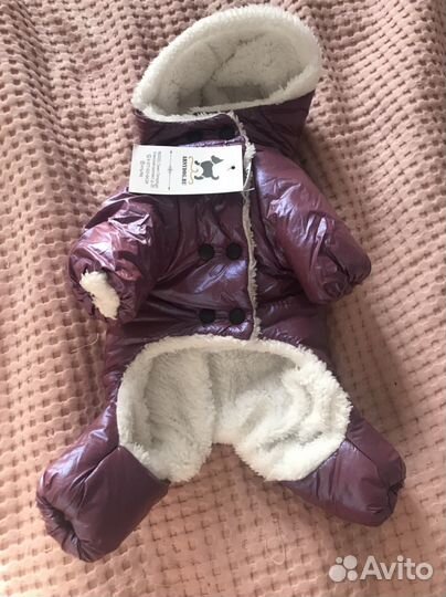 Комбинезон для собаки