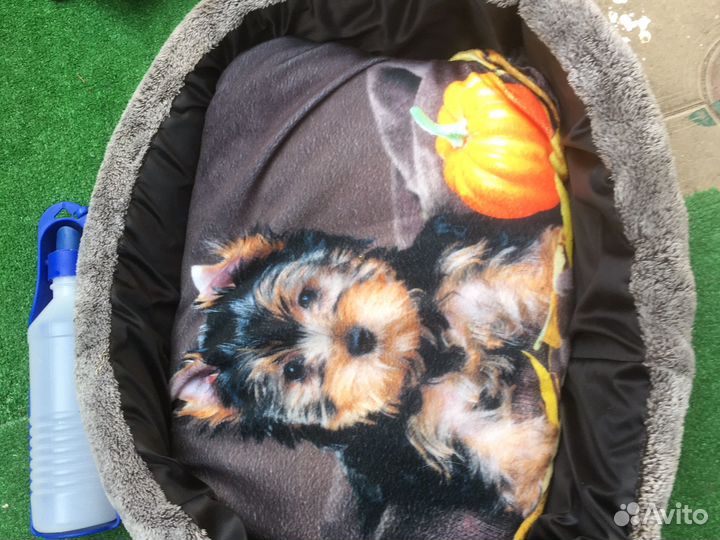 Лежак для собаки, тапки, куртка