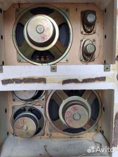Динамики 2гд19м