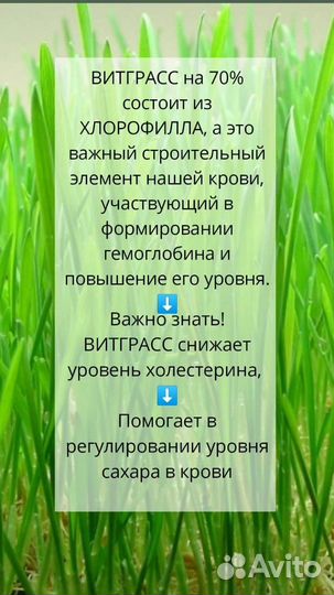 Витграсс - сок из ростков пшеницы