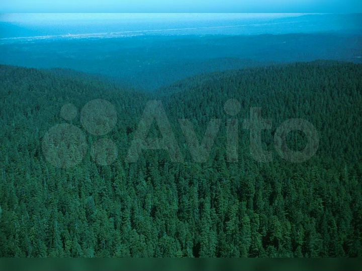 Участок 4914 га (СНТ, ДНП)