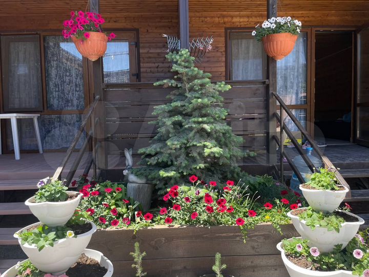 Комната 24 м², 1/2 эт.