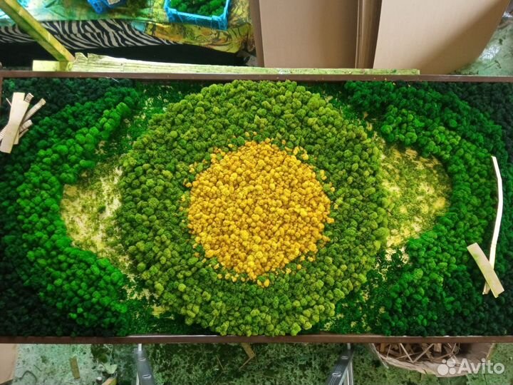 Мох стабилизированный оптом и в розницу