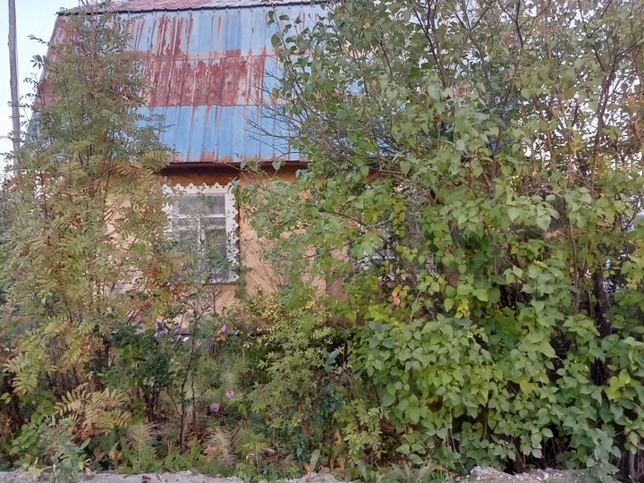 Дача 26,9 м² на участке 6 сот.
