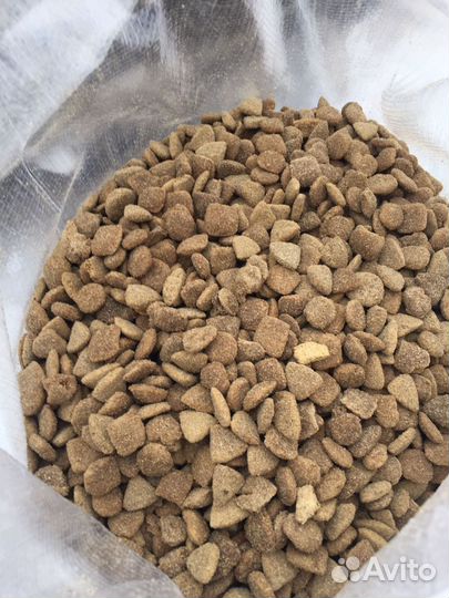 Сухой корм purina для собак и кошек