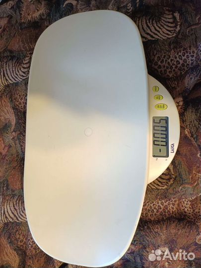 Отдам бесплатно