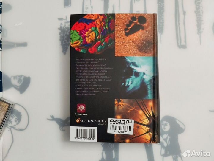 Эволюция человека. Обезъяны, нейроны и душа