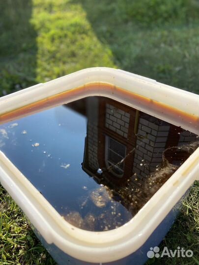 Мед Алтайское разнотравье оптом 2023