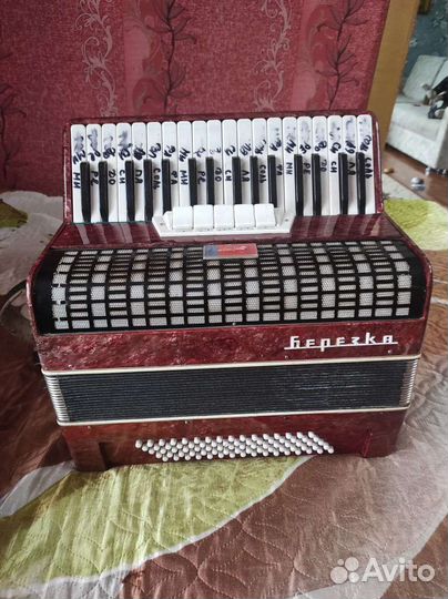 Аккордеон березка