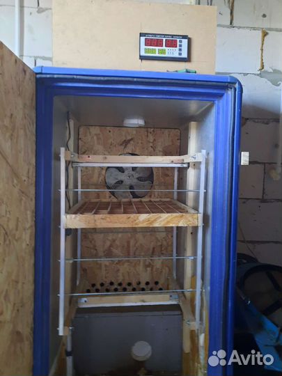 Автоматический инкубатор