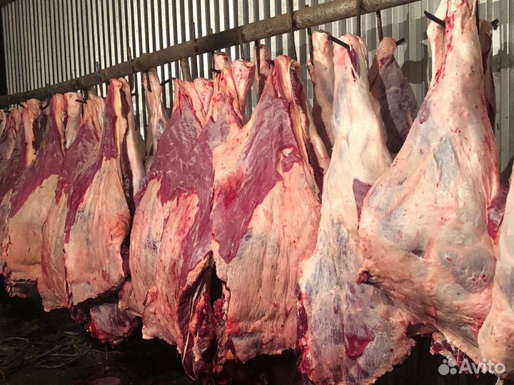 Мясо Оптом и в розницу