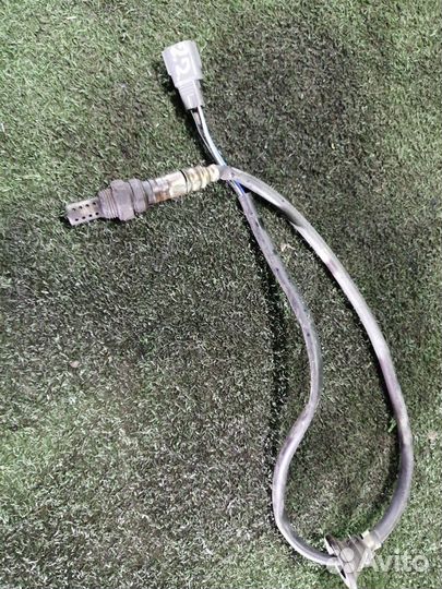 Датчик кислородный Lexus Gs300 JZS160 2JZ-GE 1998