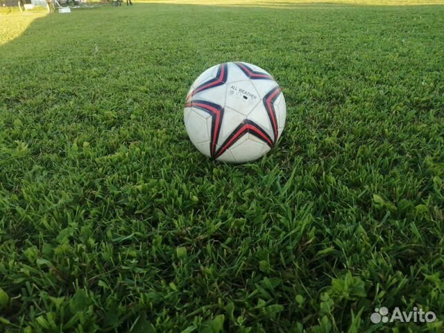 Выравнивание участка под газон мини трактором в Луге | Услуги | Авито