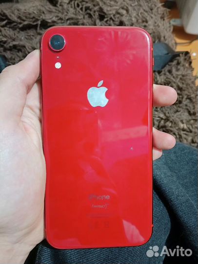 iPhone XR