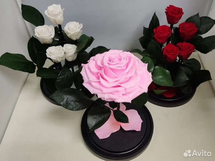 Подарок / Цветы