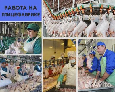 Вахта.Фасовщики мясопродуктов г.Мелеуз на птицефер