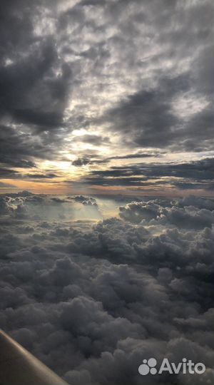 Сделаю любое фото/видео для вас