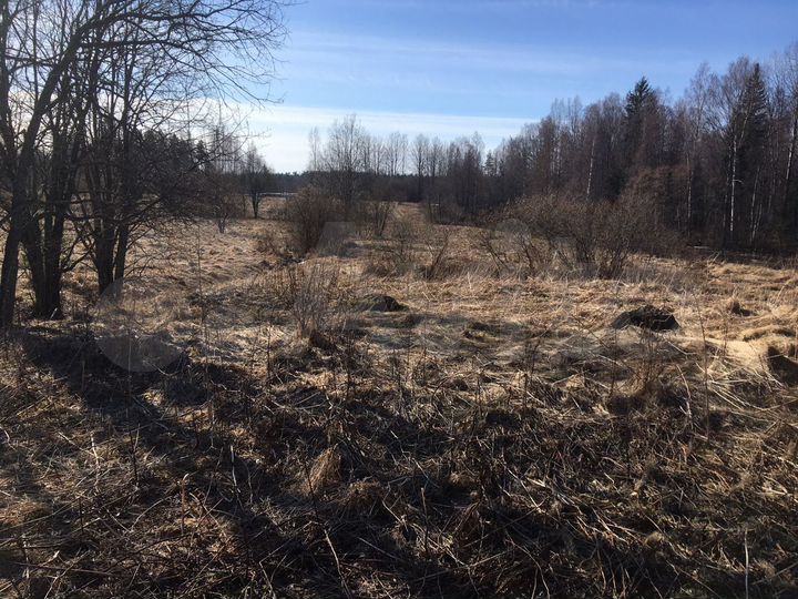 Участок 50 сот. (ИЖС)