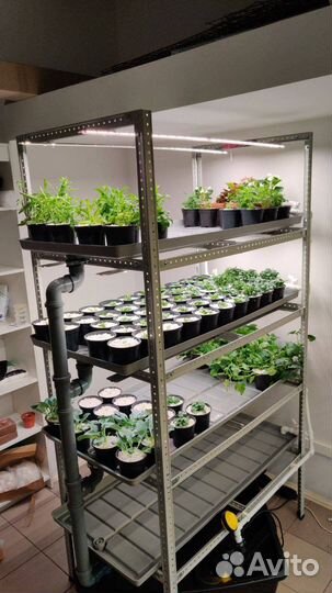 Как открыть бизнес. Сити ферма