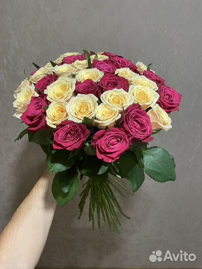 31 роза микс 60 см кремовой и малиновой розы