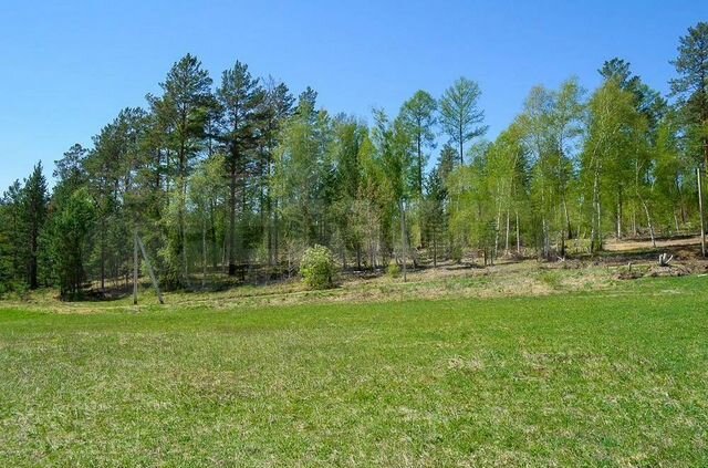 Участок 11,9 сот. (СНТ, ДНП)