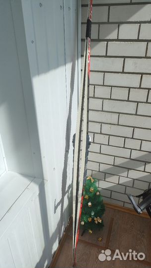 Беговые лыжи классические