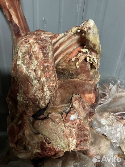 Мясо/обрезь/субпродукты