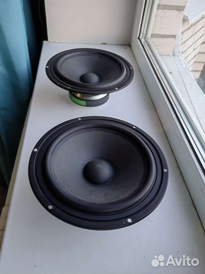 Динамики нч Асалаб b2006.8