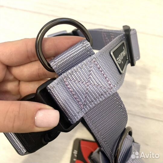 Анатомическая шлейка антитяга + поводок