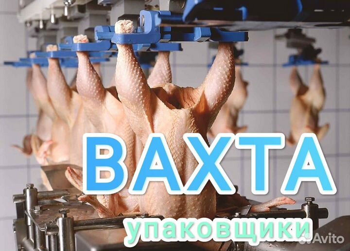 15 смен Вахта Жильё\Обед в Ростов Упаковщица\к