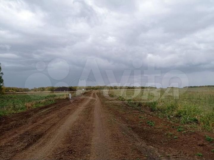 Участок 11,5 сот. (СНТ, ДНП)