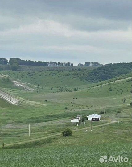 Продам миниферму