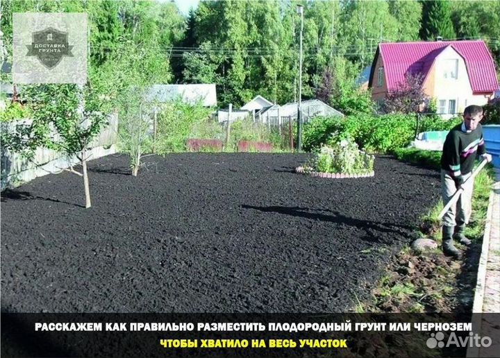 Земля чернозем