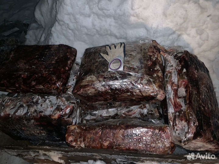 Рыбные отходы для животных