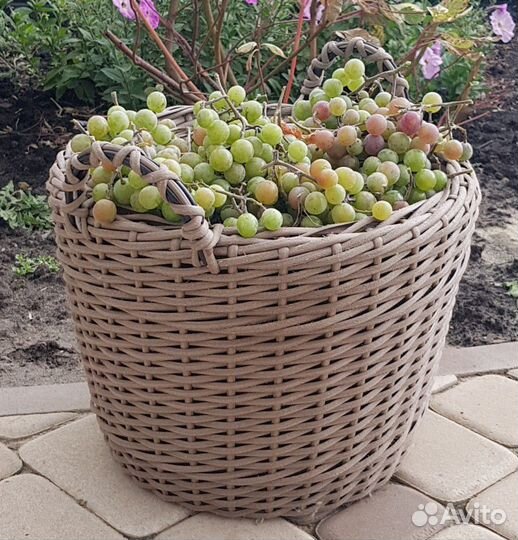 Корзина для хранения