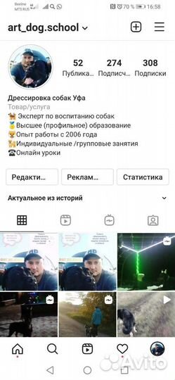 Дрессировка воспитание собак.Кинолог. Зоопсихолог