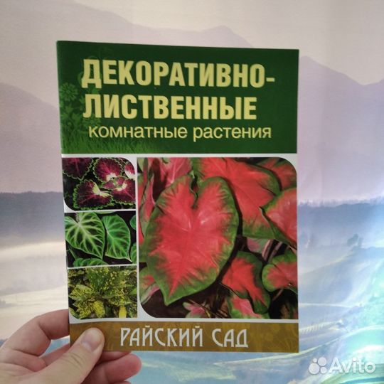 Книги о домашних цветах